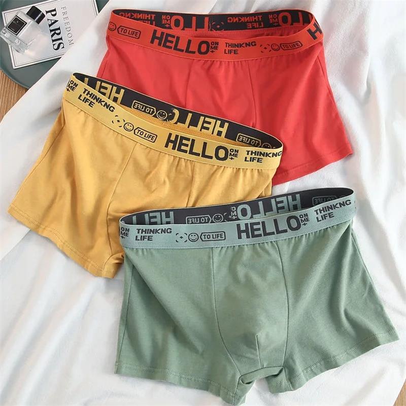 10 sztuk/bielizna męska męskie – Boxer Brief Pack Cotton recenzja i cena